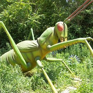 Summer Exhibit Xtreme Bugs