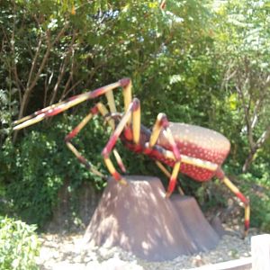 Summer Exhibit Xtreme Bugs