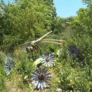 Summer Exhibit Xtreme Bugs