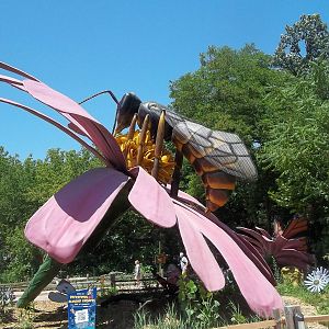 Summer Exhibit Xtreme Bugs