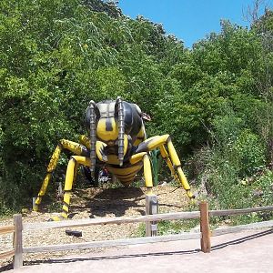 Summer Exhibit Xtreme Bugs