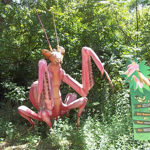 Summer Exhibit Xtreme Bugs