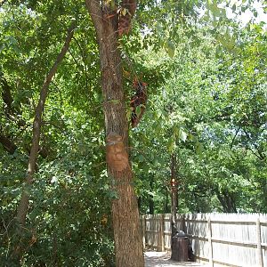 Summer Exhibit Xtreme Bugs