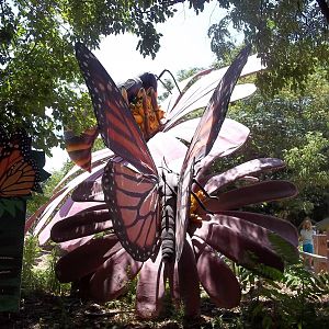 Summer Exhibit Xtreme Bugs