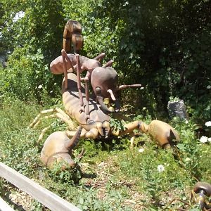 Summer Exhibit Xtreme Bugs