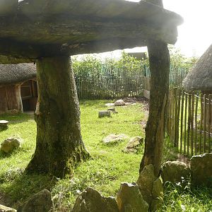 Sulcata tortoise enclosure