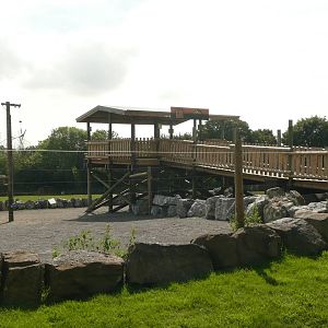 Giraffe viewing platform
