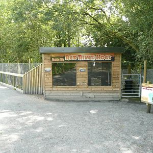 Red river hog house