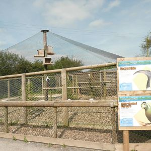 Water bird aviary