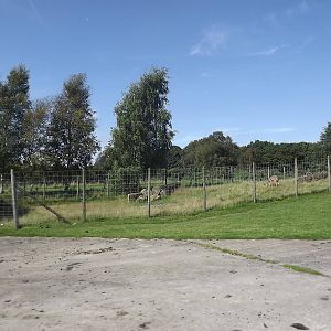 Kudu exhibit at Knowsley Safari Park 08/09/12