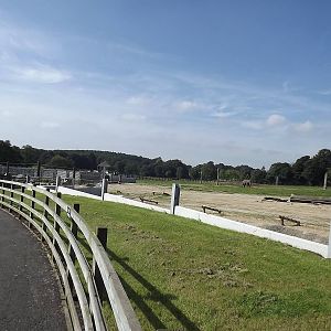 Elephant exhibit at Knowsley Safari Park 08/09/12