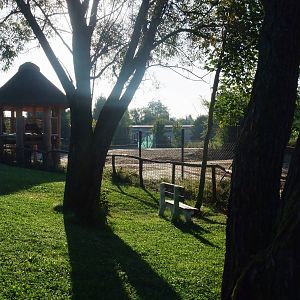 Safari Camp Paddock Viewing at Dvur Kralove, 28/08/12