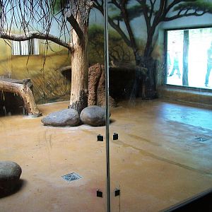 Lion House at Dvur Kralove, 27/08/12