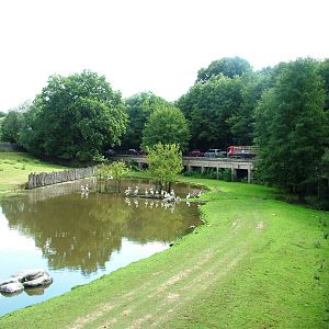 Lake Paddock at Dvur Kralove, 27/08/12