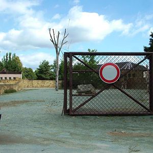 Rothschild's Giraffe Paddock at Dvur Kralove, 27/08/12