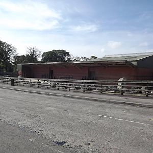 Elephant house at Knowsley Safari Park 08/09/12