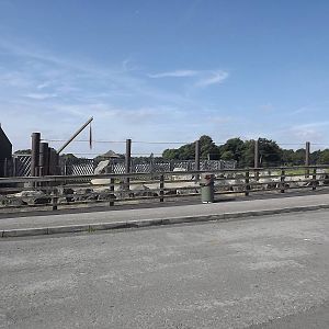Elephant exhibit at Knowsley Safari Park 08/09/12