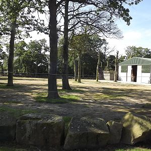 Giraffe exhibit at Knowsley Safari Park 08/09/12