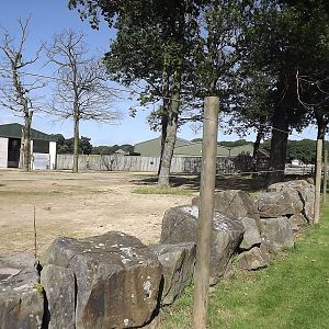Giraffe exhibit at Knowsley Safari Park 08/09/12
