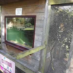 Marmoset exhibit at Knowsley Safari Park 08/09/12