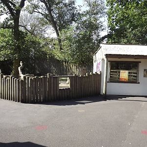 Meerkat exhibit at Knowsley Safari Park 08/09/12