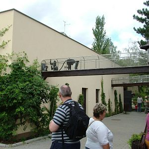 Ape House at Dvur Kralove, 27/08/12