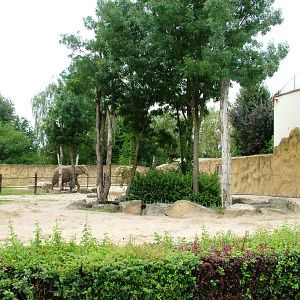 Elephant Paddock at Dvur Kralove, 27/08/12