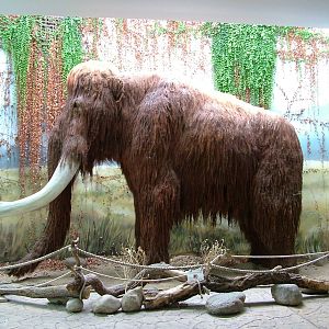 Mammoth Sculpture at Dvur Kralove, 27/08/12