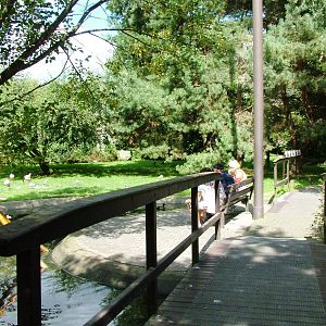 Walk-through Aviary Interior at Dvur Kralove, 27/08/12
