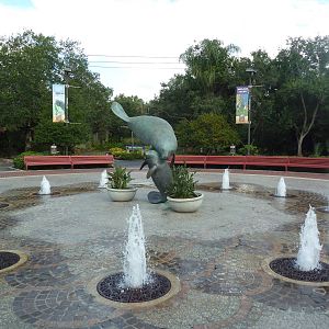 Manatee Plaza Fountain