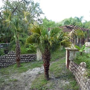 Asian Gardens - Malayan Tapir Exhibit