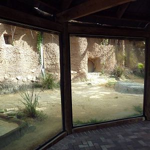 Asian Gardens - Komodo Dragon Exhibit