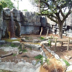 Asian Gardens - Malayan Tiger Exhibit
