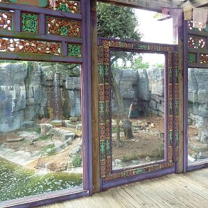 Asian Gardens - Malayan Tiger Exhibit