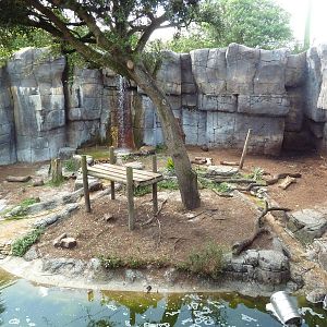 Asian Gardens - Malayan Tiger Exhibit