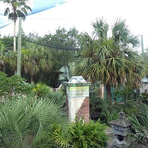 Asian Gardens - Sulawesi Aviary