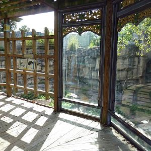Asian Gardens - Sloth Bear Exhibit