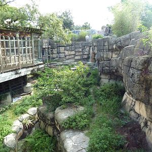 Asian Gardens - Sloth Bear Exhibit