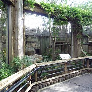 Asian Gardens - Clouded Leopard Exhibit