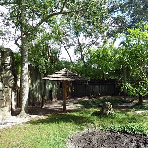 Asian Gardens - Babirusa Exhibit
