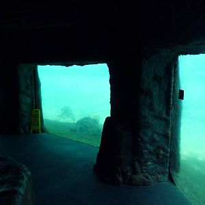 Manatee + Aquatic Center