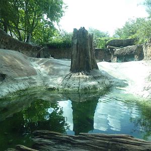 Native Florida - River Otter Exhibit