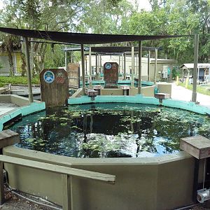 Manatee + Aquatic Center