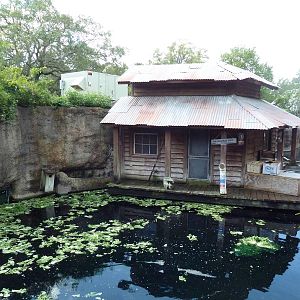Manatee + Aquatic Center