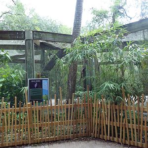 Native Florida - Roseate Spoonbill Exhibit