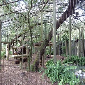 Native Florida - Florida Panther Exhibit