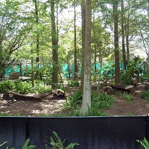 Native Florida - Mixed-Species Exhibit (4 Species)