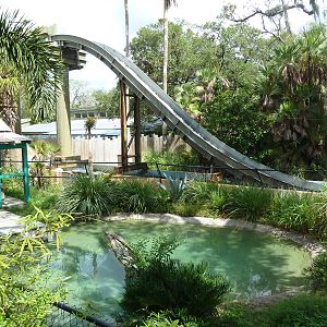 Philippine Crocodile Exhibit + Flume Ride