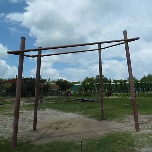 Safari Africa - Elephant/Impala Exhibit