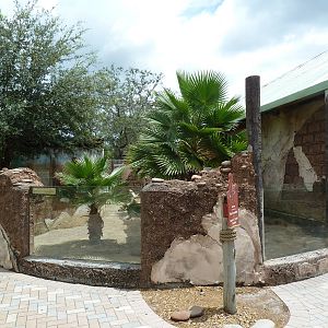 Safari Africa - Meerkat Exhibit